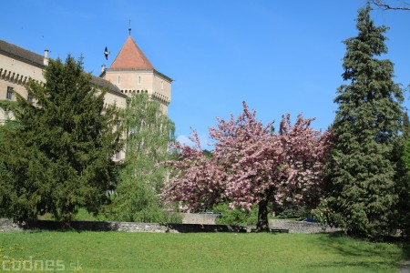 Foto a video: Medzinárodný festival duchov a strašidiel 2018 - Vládca času 2