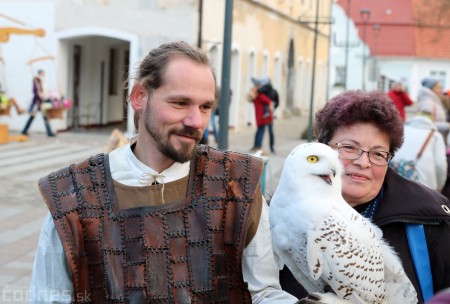 Foto a video: Bojnický Kračún 2017 - 4. ročník 145