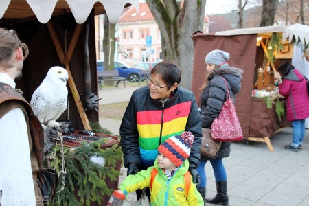 Foto a video: Bojnický Kračún 2017 - 4. ročník 151