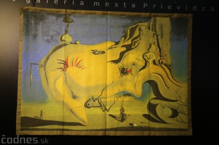 Foto: SALVADOR DALÍ - SKRYTÉ TVÁRE - výstava originálov 7