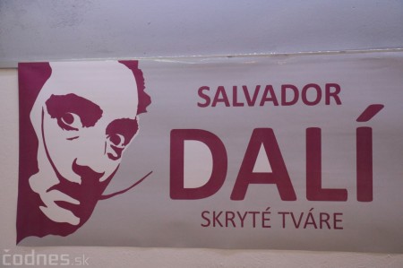 Foto: SALVADOR DALÍ - SKRYTÉ TVÁRE - výstava originálov 16