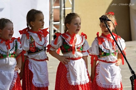 Foto: Hornonitrianske folklórne slávnosti 2016 79