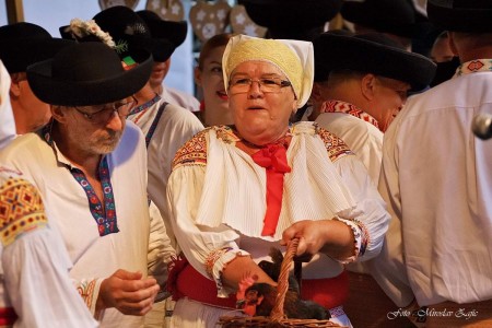 Foto: Hornonitrianske folklórne slávnosti 2016 116
