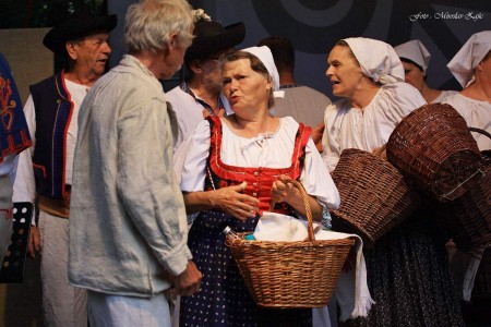 Foto: Hornonitrianske folklórne slávnosti 2016 119