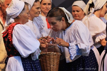 Foto: Hornonitrianske folklórne slávnosti 2016 122