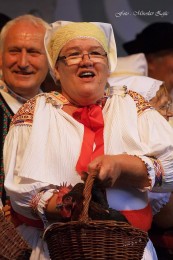 Foto: Hornonitrianske folklórne slávnosti 2016 127