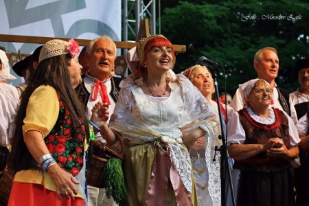 Foto: Hornonitrianske folklórne slávnosti 2016 133