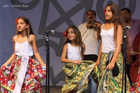 Foto: Hornonitrianske folklórne slávnosti 2016 153