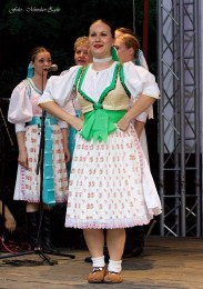 Foto: Hornonitrianske folklórne slávnosti 2016 178