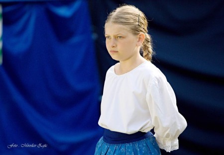 Foto: Hornonitrianske folklórne slávnosti 2016 254