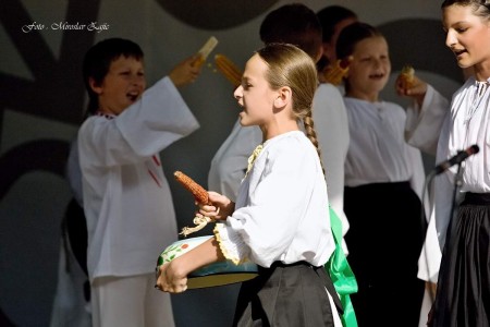 Foto: Hornonitrianske folklórne slávnosti 2016 255
