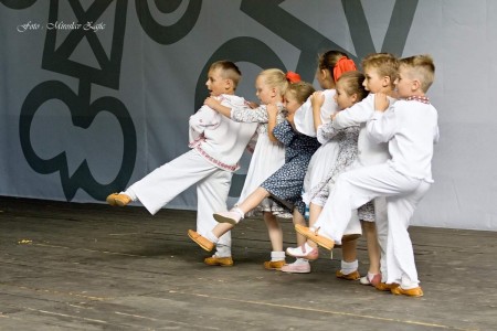 Foto: Hornonitrianske folklórne slávnosti 2016 261