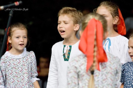 Foto: Hornonitrianske folklórne slávnosti 2016 264
