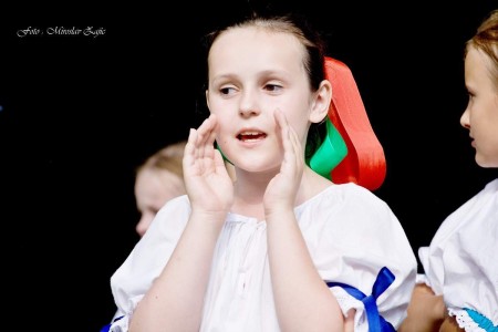 Foto: Hornonitrianske folklórne slávnosti 2016 267