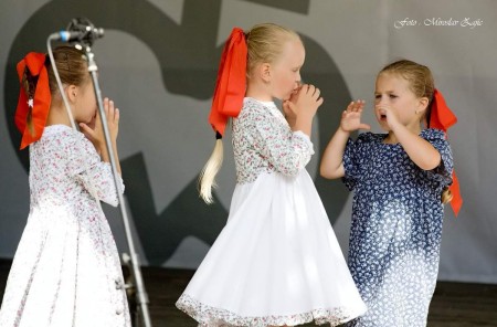 Foto: Hornonitrianske folklórne slávnosti 2016 269