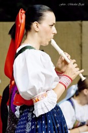 Foto: Hornonitrianske folklórne slávnosti 2016 291