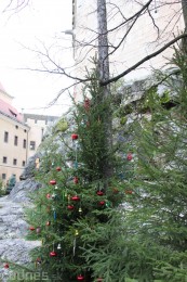 Foto: Vianočná výzdoba Bojnického zámku v rámci podujatia Vianoce na Bojnickom zámku 2014 1