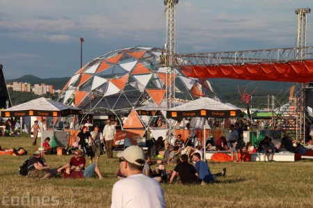 Foto: Bažant Pohoda 2014 4