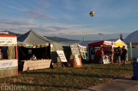 Foto: Bažant Pohoda 2014 18