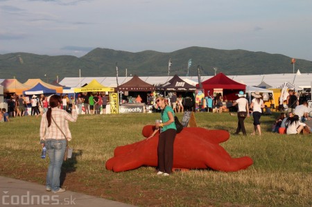 Foto: Bažant Pohoda 2014 22