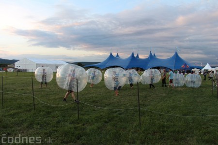 Foto: Bažant Pohoda 2014 41