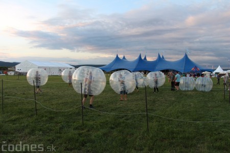 Foto: Bažant Pohoda 2014 42