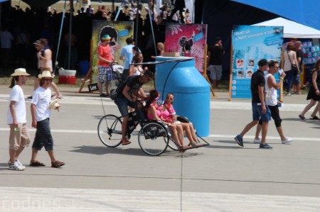 Foto: Bažant Pohoda 2014 75