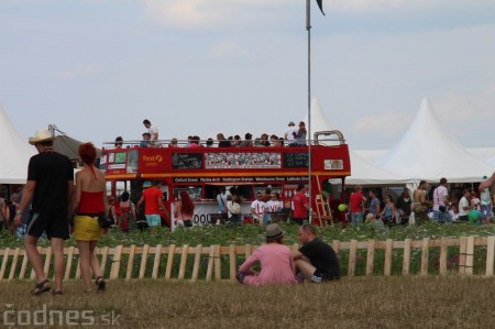 Foto: Bažant Pohoda 2014 96