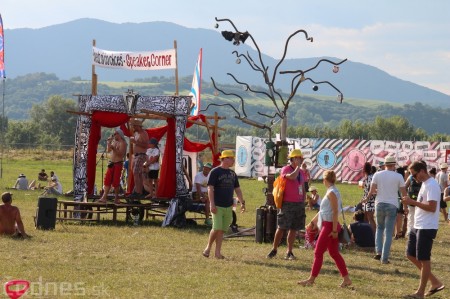 Foto: Bažant Pohoda 2014 147