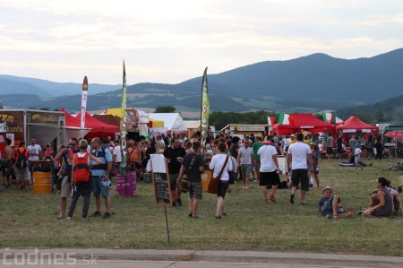 Foto: Bažant Pohoda 2014 166