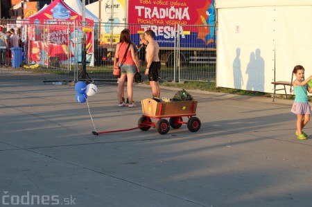 Foto: Bažant Pohoda 2014 173