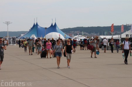 Foto: Bažant Pohoda 2014 212