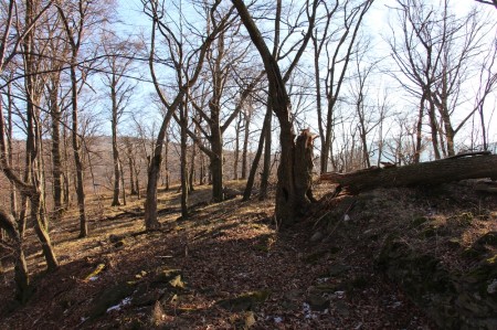 Foto a video: Lezecká oblasť Hrádok - nenechajme si zničiť prírodné bohatstvo 59