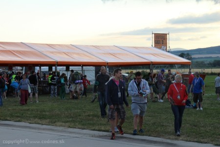 Foto: Bažant Pohoda 2013 1