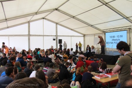 Foto: Bažant Pohoda 2013 63