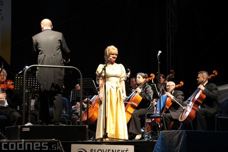 Foto a video: Prievidzské mestské dni 2013 - piatok 39