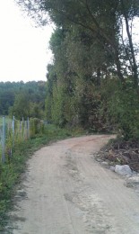 Jazierko v Bojniciach - už len krásna spomienka 13