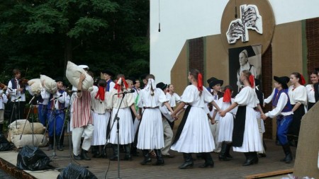 Foto: Hornonitrianske folklórne slávnosti 2012 46
