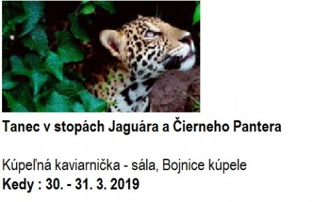 Tanec v stopách Jaguára a Čierneho Pantera 0