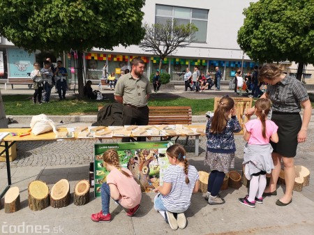 Foto: Prievidzské deti oslavovali les na akcii EKOROK 2019 13