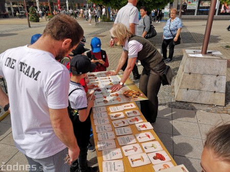 Foto: Prievidzské deti oslavovali les na akcii EKOROK 2019 19