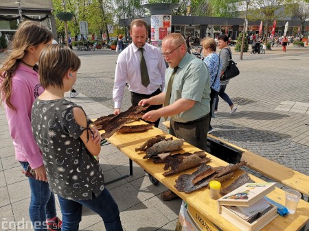 Foto: Prievidzské deti oslavovali les na akcii EKOROK 2019 20