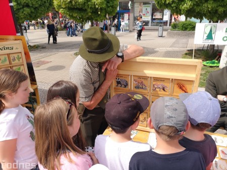 Foto: Prievidzské deti oslavovali les na akcii EKOROK 2019 42