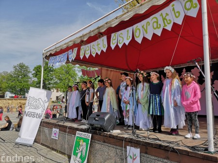 Foto: Prievidzské deti oslavovali les na akcii EKOROK 2019 50