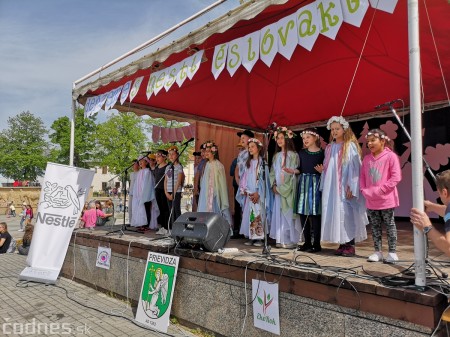 Foto: Prievidzské deti oslavovali les na akcii EKOROK 2019 51