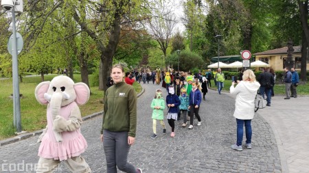 Foto a video: Bojnice - OTVORENIE LETNEJ TURISTICKEJ SEZÓNY 2019 a Oslava 25.výročia Sokoliarov Aquila 7