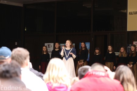 Foto a video: Bojnice - OTVORENIE LETNEJ TURISTICKEJ SEZÓNY 2019 a Oslava 25.výročia Sokoliarov Aquila 26