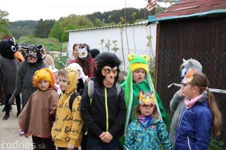 Foto a video: Bojnice - OTVORENIE LETNEJ TURISTICKEJ SEZÓNY 2019 a Oslava 25.výročia Sokoliarov Aquila 33