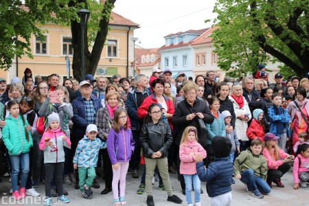 Foto a video: Bojnice - OTVORENIE LETNEJ TURISTICKEJ SEZÓNY 2019 a Oslava 25.výročia Sokoliarov Aquila 49