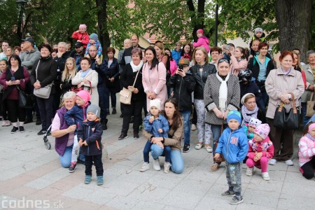 Foto a video: Bojnice - OTVORENIE LETNEJ TURISTICKEJ SEZÓNY 2019 a Oslava 25.výročia Sokoliarov Aquila 54